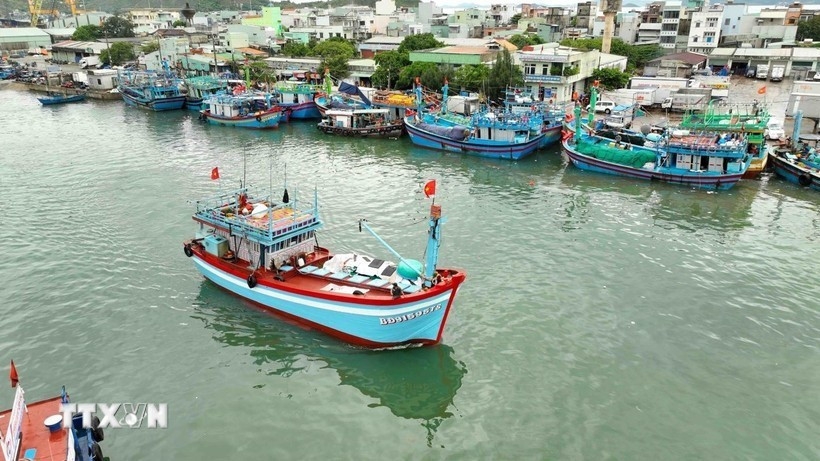 An Giang tightens IUU control ahead of EC's fifth inspection